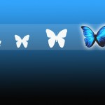 Butterfly__s_expression_by_Caelea